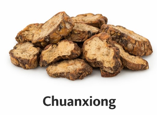 chuanxiong